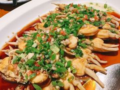 -宁波柏悦酒店·钱湖渔港