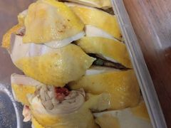 白斩鸡-聂记粤菜馆(鼓西路店)
