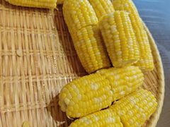 -光明招待所(邦凯科技园店)