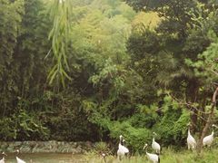 -杭州野生动物世界