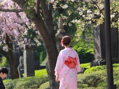 -东京浅草和服体验江户和装工房雅(浅草本店)