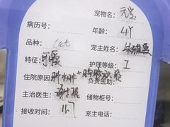 -美联众合动物医院·24h转诊中心