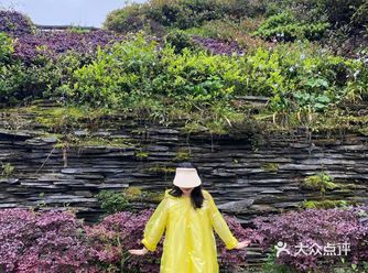 因为是五一假期。所以早上五点过就出发了，到山上就开始