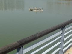 -白塘生态植物园