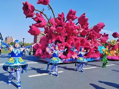 -荷兰花海
