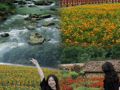 -广州市石门国家森林公园