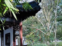 -上海醉白池公园