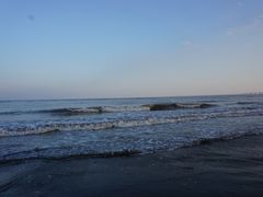 -南汇嘴观海公园