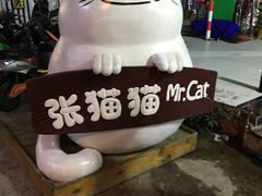 -张猫猫爱吃鱼