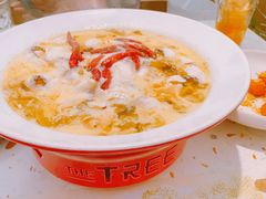 大树奶酸鱼-大树餐厅(环球港店)