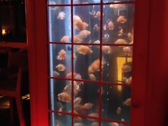 -CLUB VIVA(购物公园店)