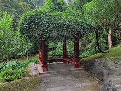-桃花涧