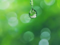 -苏宁易购(上海沪太路二店)