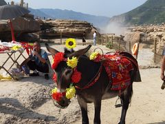 -陕西黄河壶口瀑布旅游区