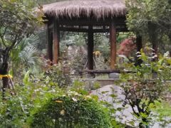 -东湖落雁景区