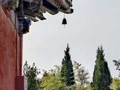 -洛阳白马寺