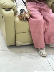 -U3美甲