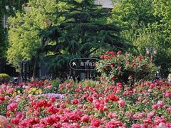-睦南公园