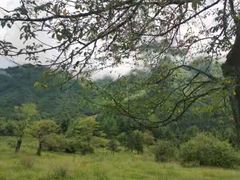 -硗碛藏寨·神木垒景区