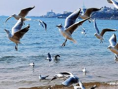 -青岛第一海水浴场