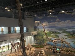 -自贡恐龙博物馆