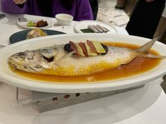 -圆苑(静安寺店)