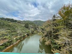 -天台国家森林公园水上茶乡九鹏溪
