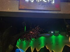 -韵秋荷(宝山龙湖天街店)