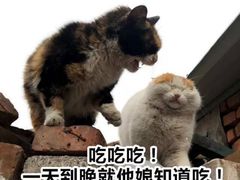 -唐记臭干(金鹰后街店)