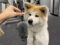 -YCHL Studios健身工作室(市二宫店)
