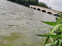 -昆山城市生态森林公园