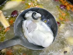 -濠轩阁特色生蚝火锅(水湾路店)