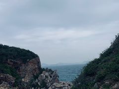 -杨梅坑