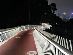 -金鸡山公园