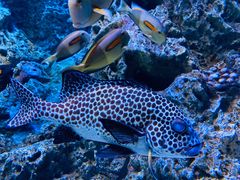 -成都浩海立方海洋公园