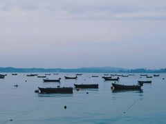 -海源公园