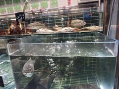 -明丰小渔馆(明月路店)