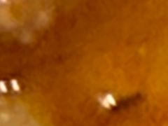 -豪享来(我格广场店)