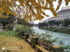 -老号尤兔头(幸福店)