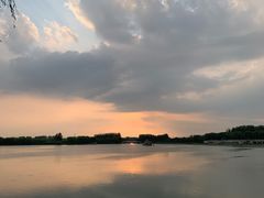 -大兴滨河森林公园