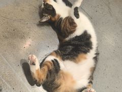 -弗劳尔花艺坊(龙涛店)