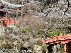 -醍醐寺