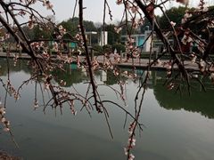 -白塘生态植物园