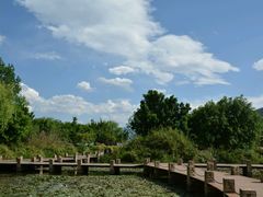 android_upload_pic-西昌邛海湿地