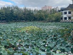 -南通濠河风景名胜区