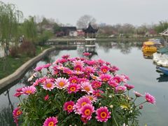 -苏州上方山国家森林公园