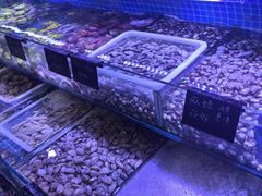 -渔民船说·北塘海鲜·天津菜·海肠捞饭(北塘古镇店)