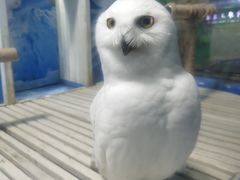 -成都浩海立方海洋公园