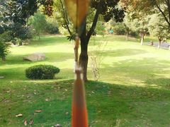 -天目湖御水温泉·度假酒店