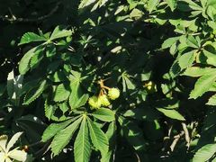 -土耳其与伊斯兰艺术博物馆